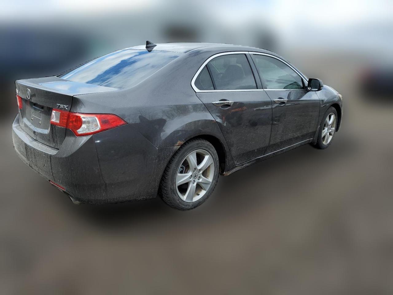 2009 Acura Tsx VIN: JH4CU26609C803653 Lot: 51774414