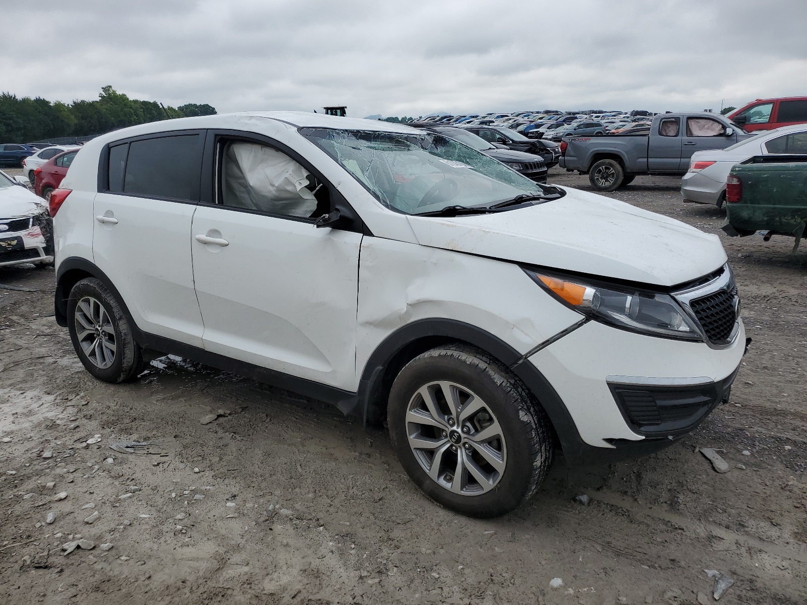 2014 Kia Sportage Base vin: KNDPB3AC9E7567809