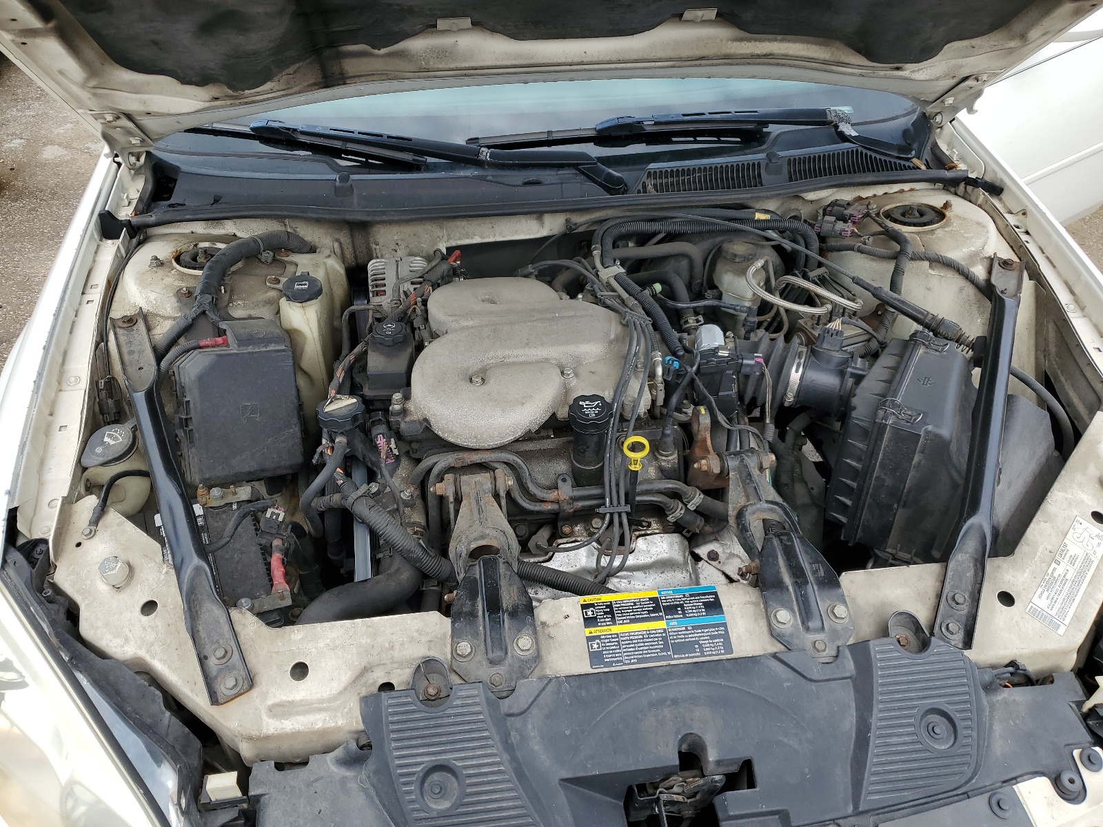 2G1WC581269342116 2006 Chevrolet Impala Lt