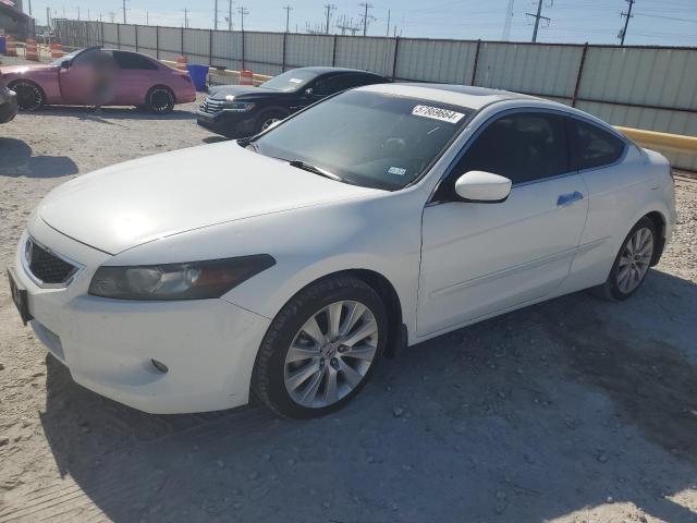 2010 Honda Accord Exl за продажба в Haslet, TX - Hail