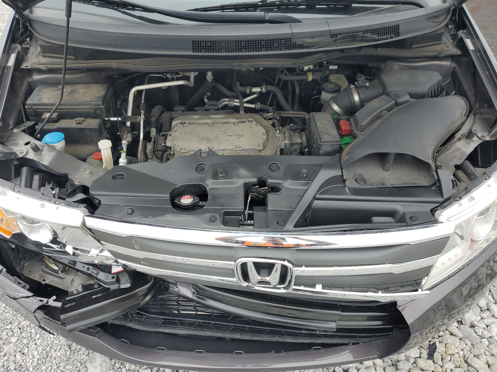 5FNRL5H62CB037951 2012 Honda Odyssey Exl