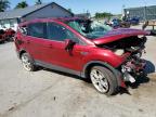 2013 Ford Escape Titanium for Sale in Sikeston, MO - Rollover
