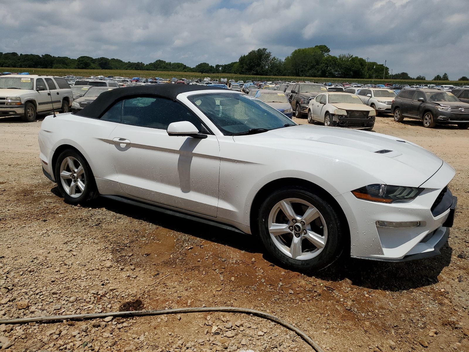 2018 Ford Mustang vin: 1FATP8UH9J5121384