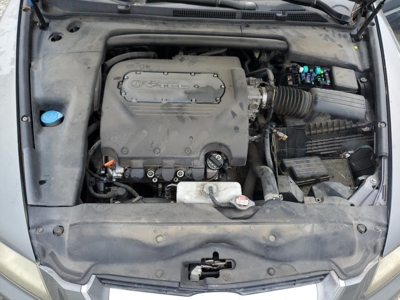 2006 Acura 3.2Tl VIN: 19UUA66236A055542 Lot: 59656444