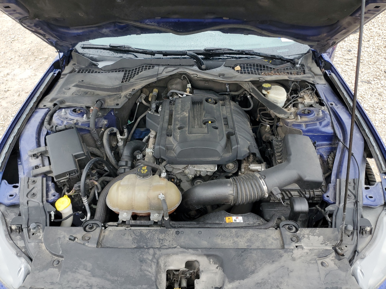 1FATP8UH9G5241999 2016 Ford Mustang