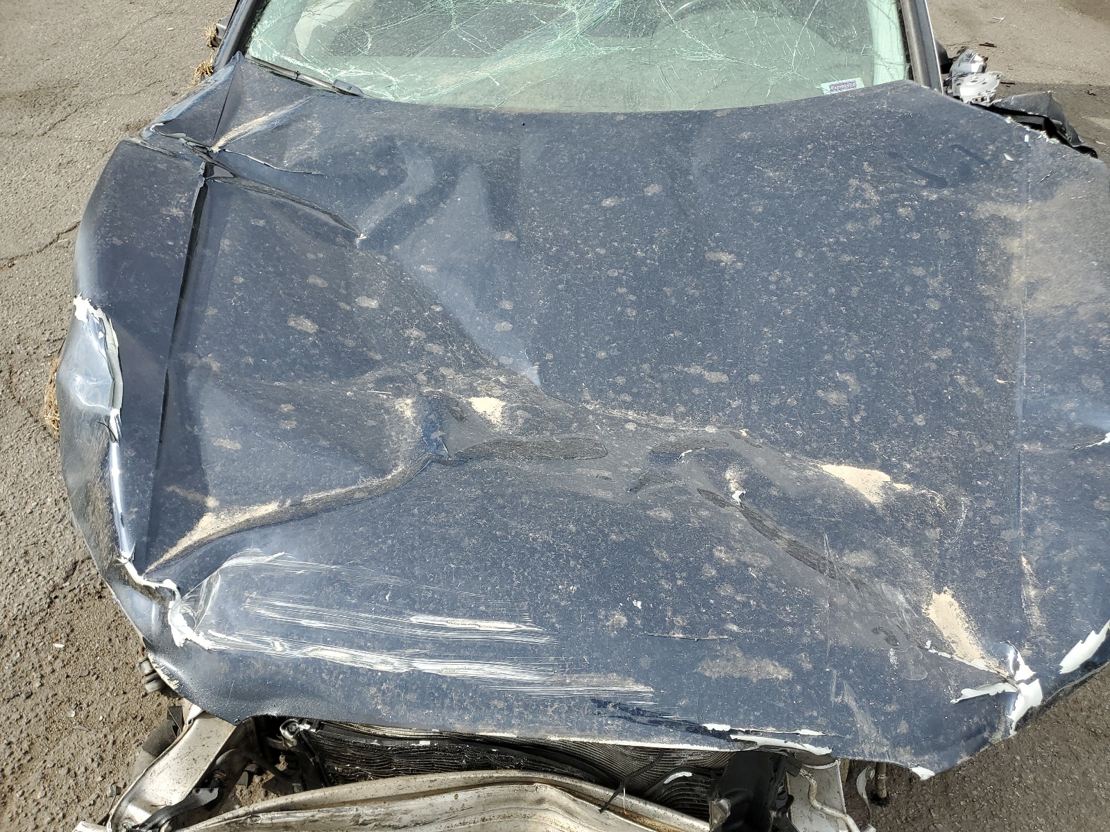 WAUFFAFL2BN048828 2011 Audi A4 Premium Plus