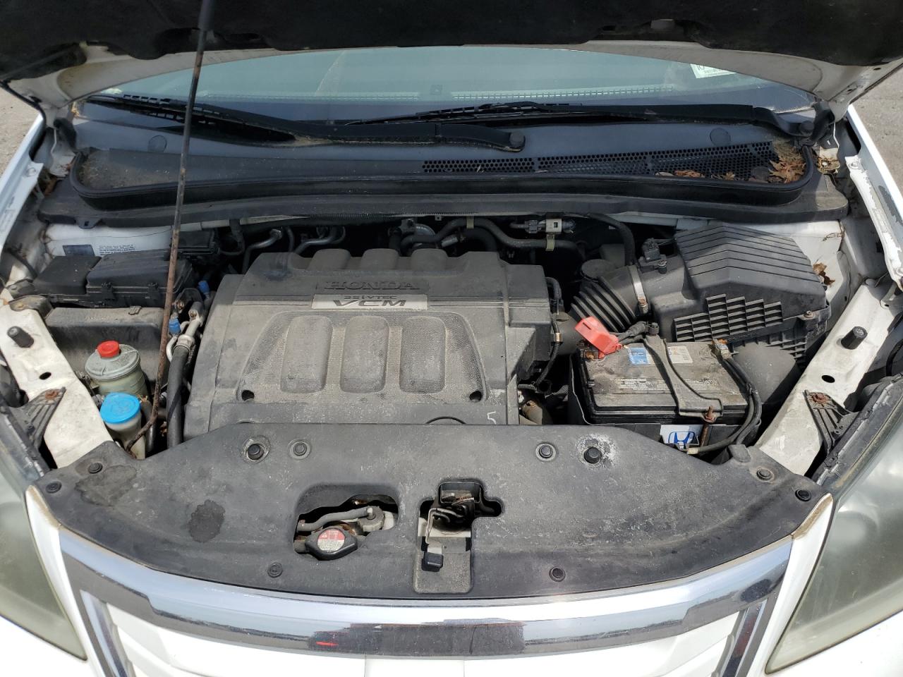 2010 Honda Odyssey Exl VIN: 5FNRL3H68AB021657 Lot: 57715184