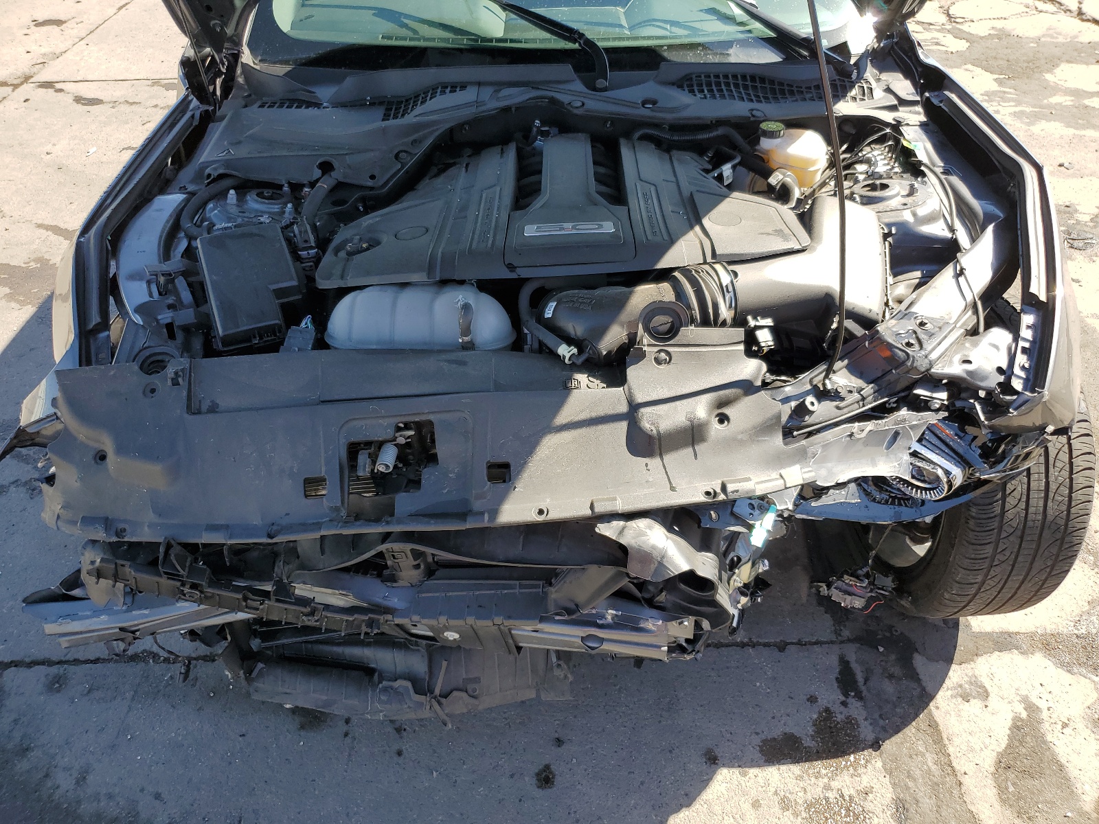 1FA6P8CF0N5129117 2022 Ford Mustang Gt