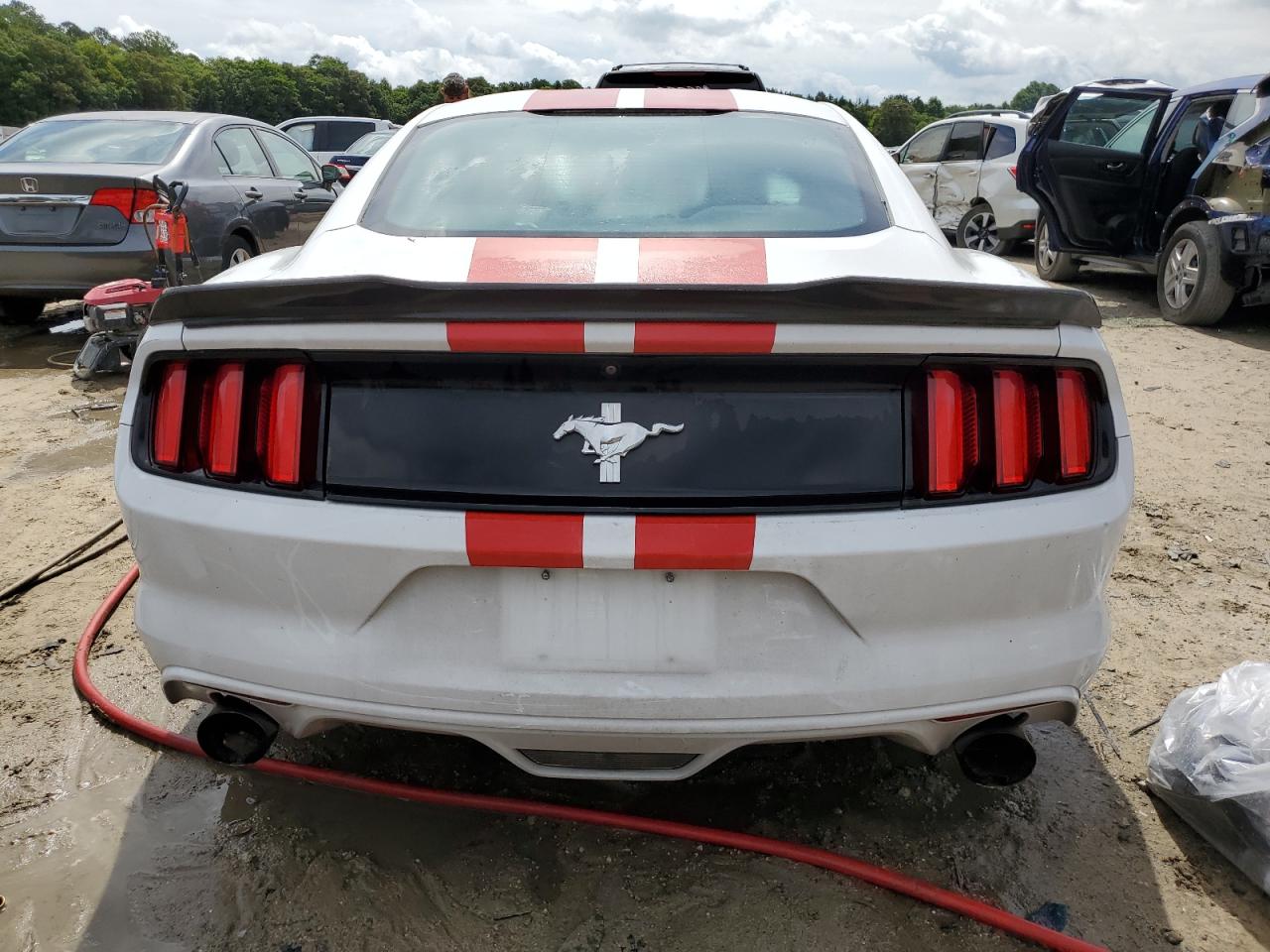 2017 Ford Mustang VIN: 1FA6P8AM5H5236816 Lot: 60490524