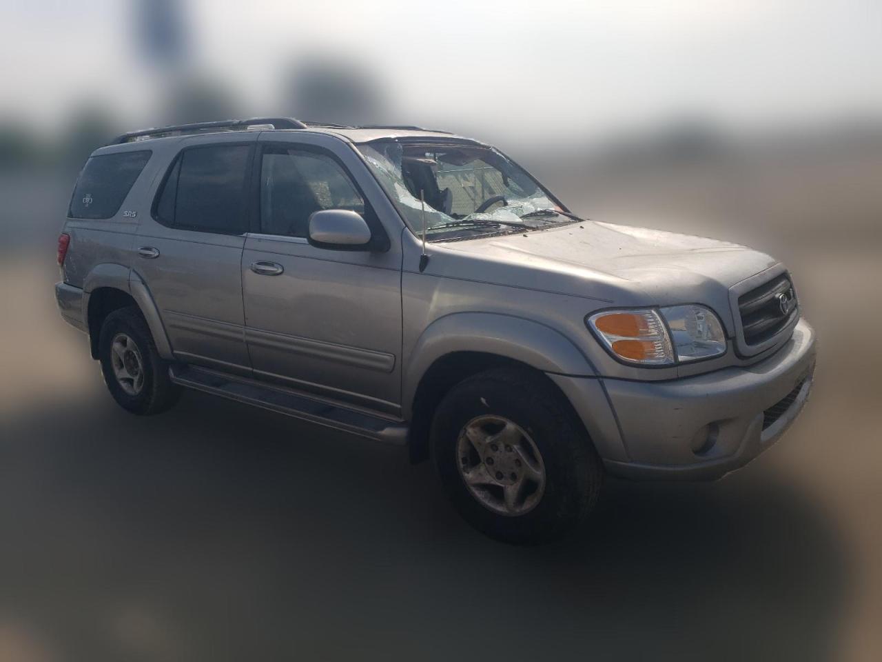 2001 Toyota Sequoia Sr5 VIN: 5TDBT44A61S050247 Lot: 59030184