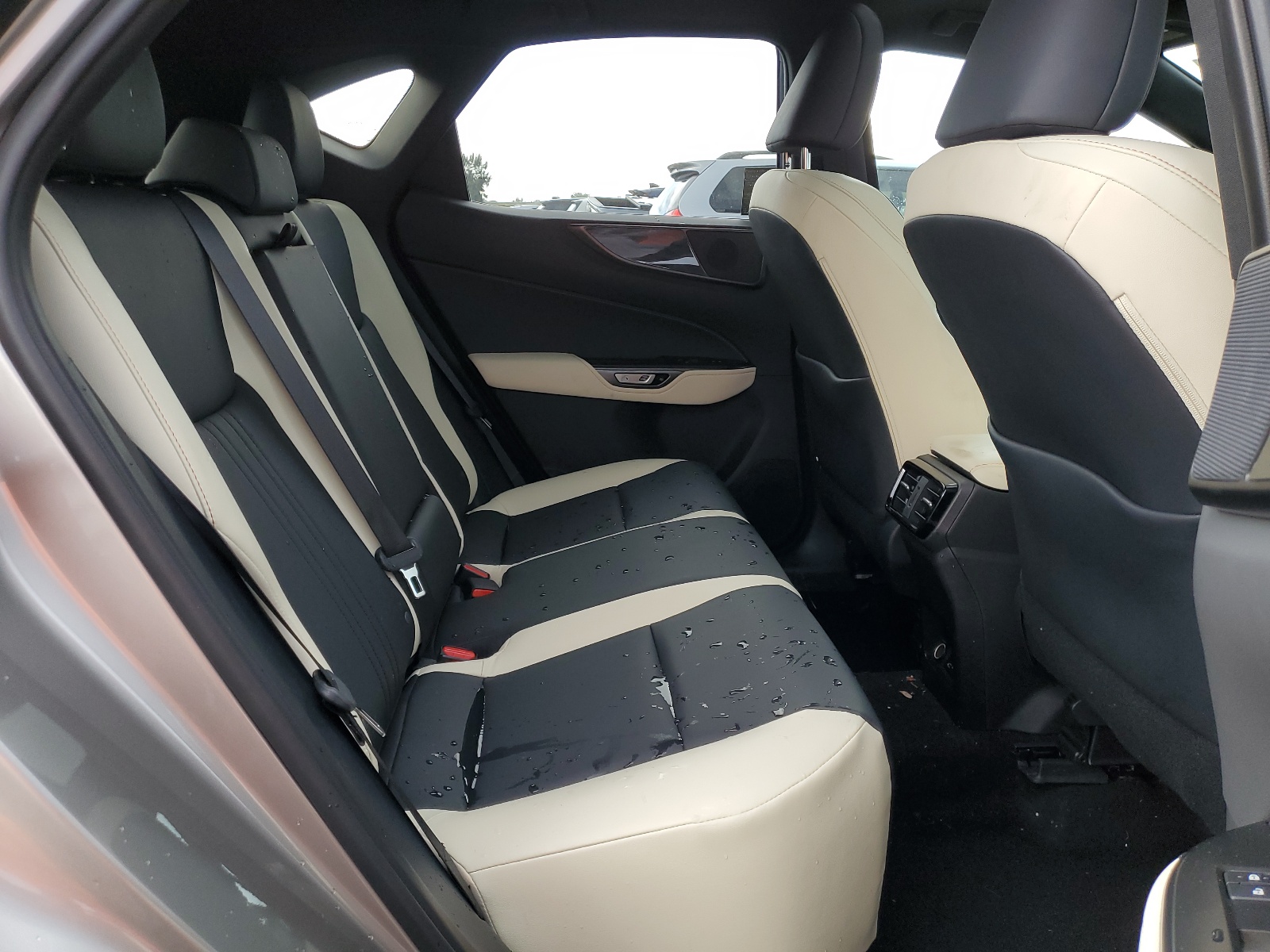 2T2GDCAZ4PC005070 2023 Lexus Nx 250