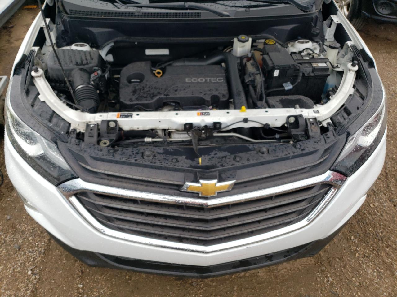 2018 Chevrolet Equinox Lt VIN: 2GNAXSEV6J6319564 Lot: 60860954