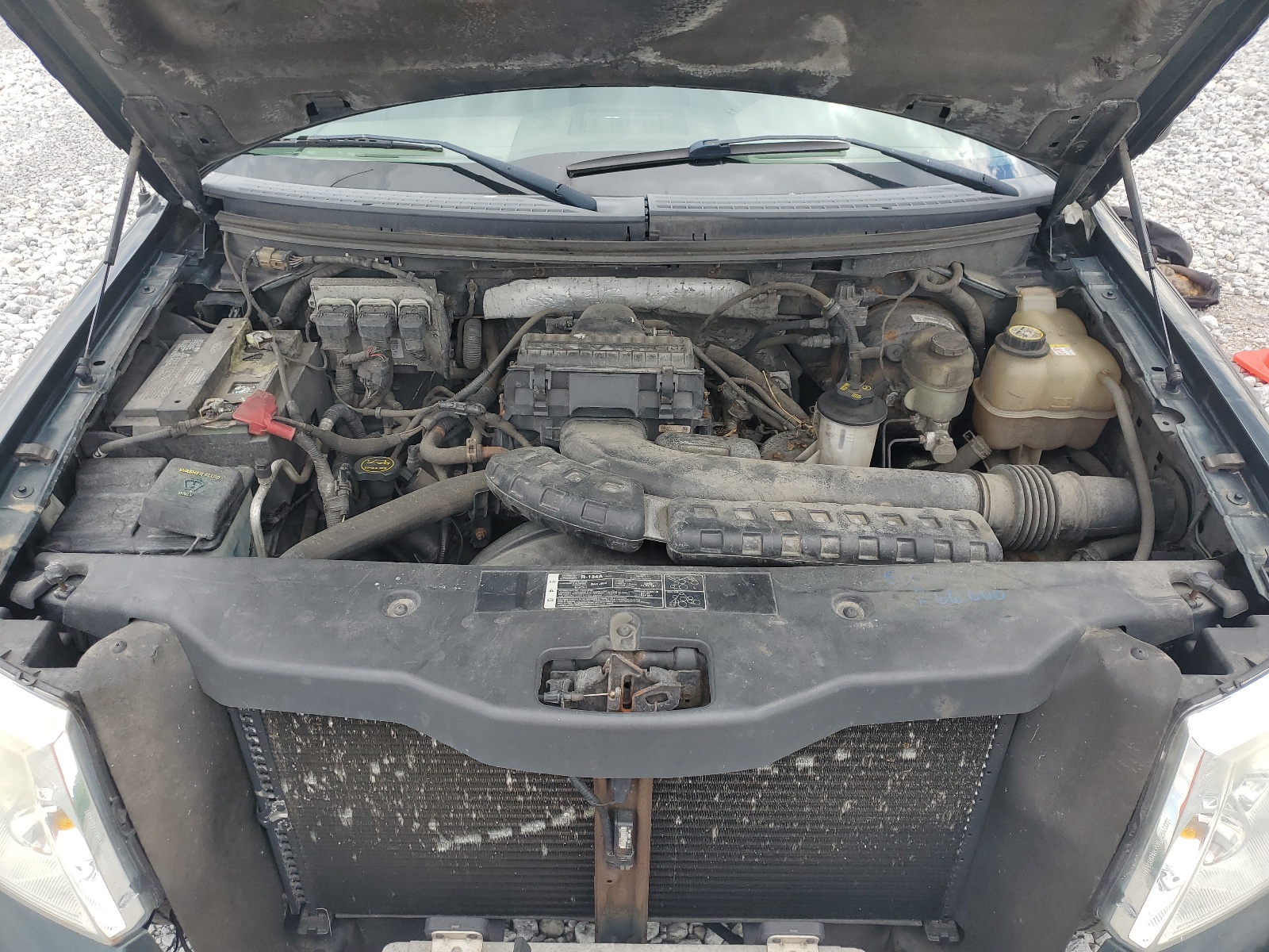 1FTPX14566NB17230 2006 Ford F150