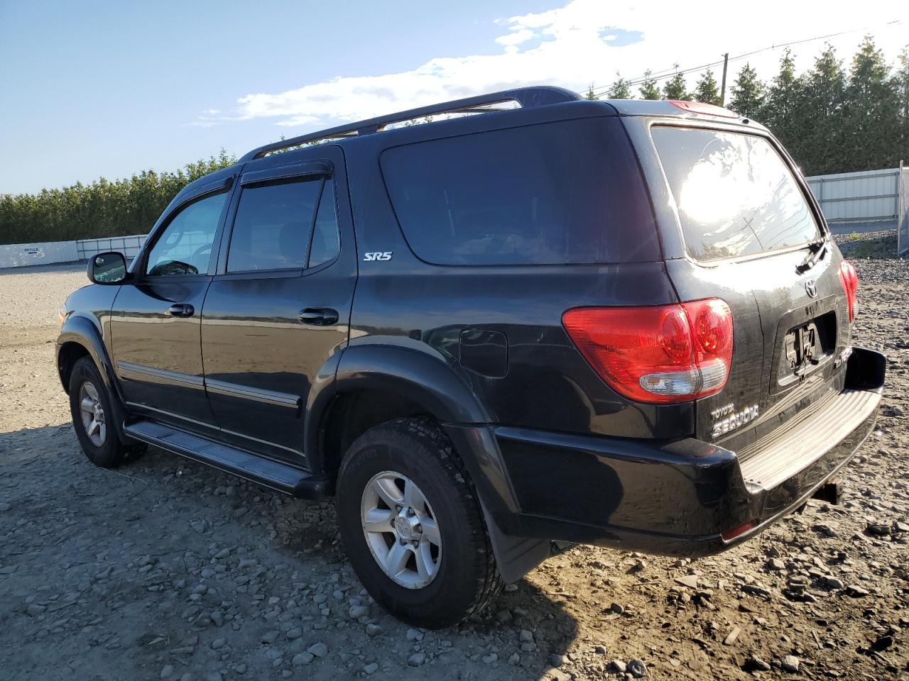 2007 Toyota Sequoia Sr5 VIN: 5TDBT44A77S282087 Lot: 57601374