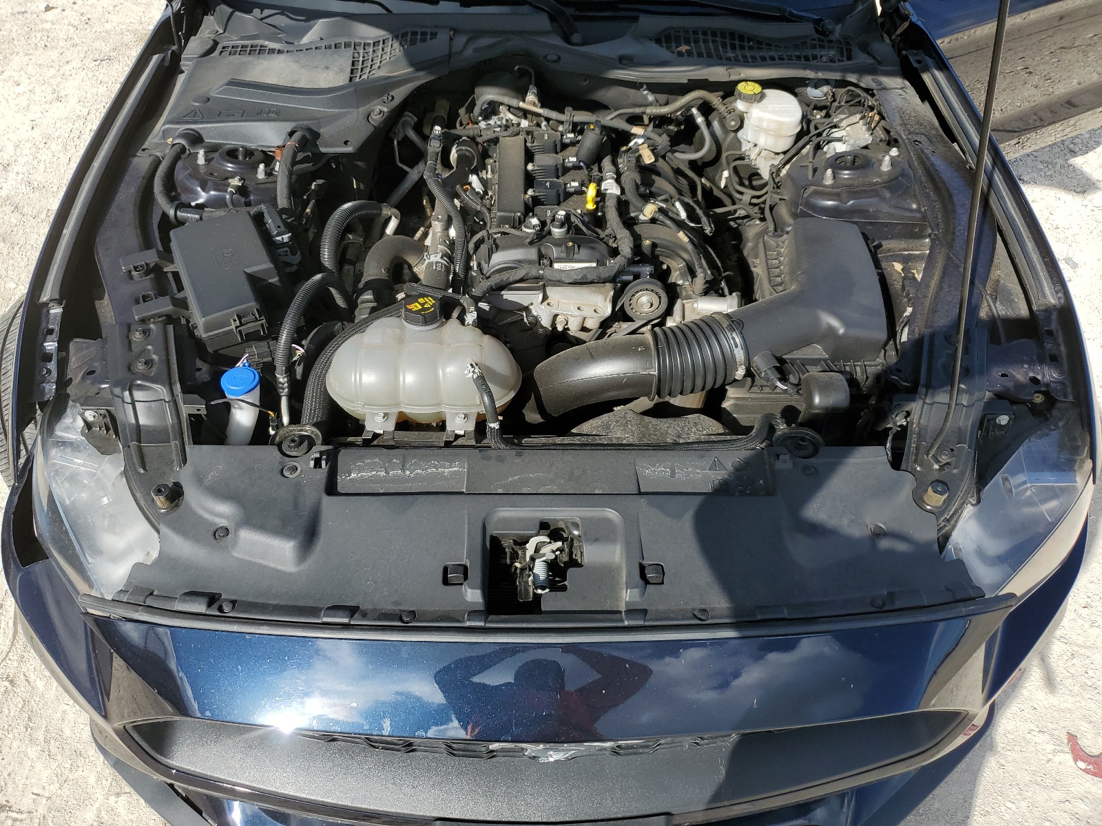 1FA6P8TH2M5146968 2021 Ford Mustang