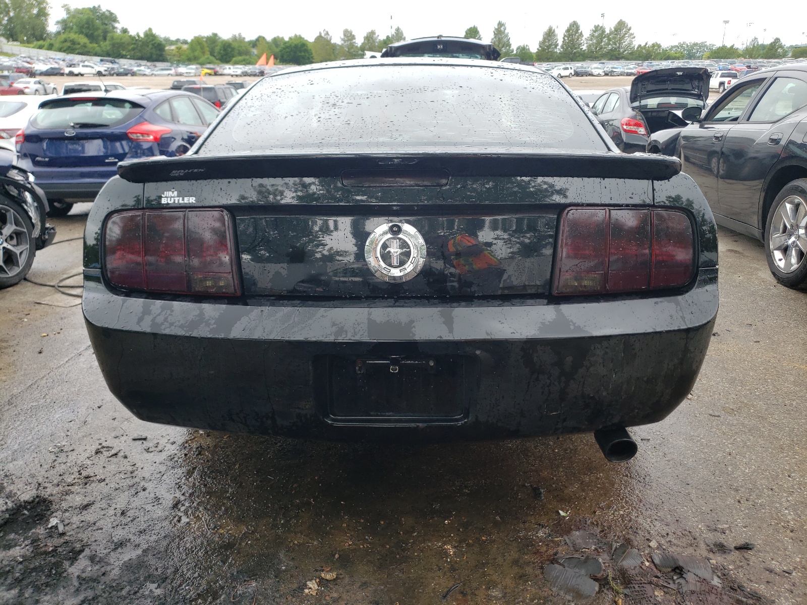 1ZVFT80N875361918 2007 Ford Mustang