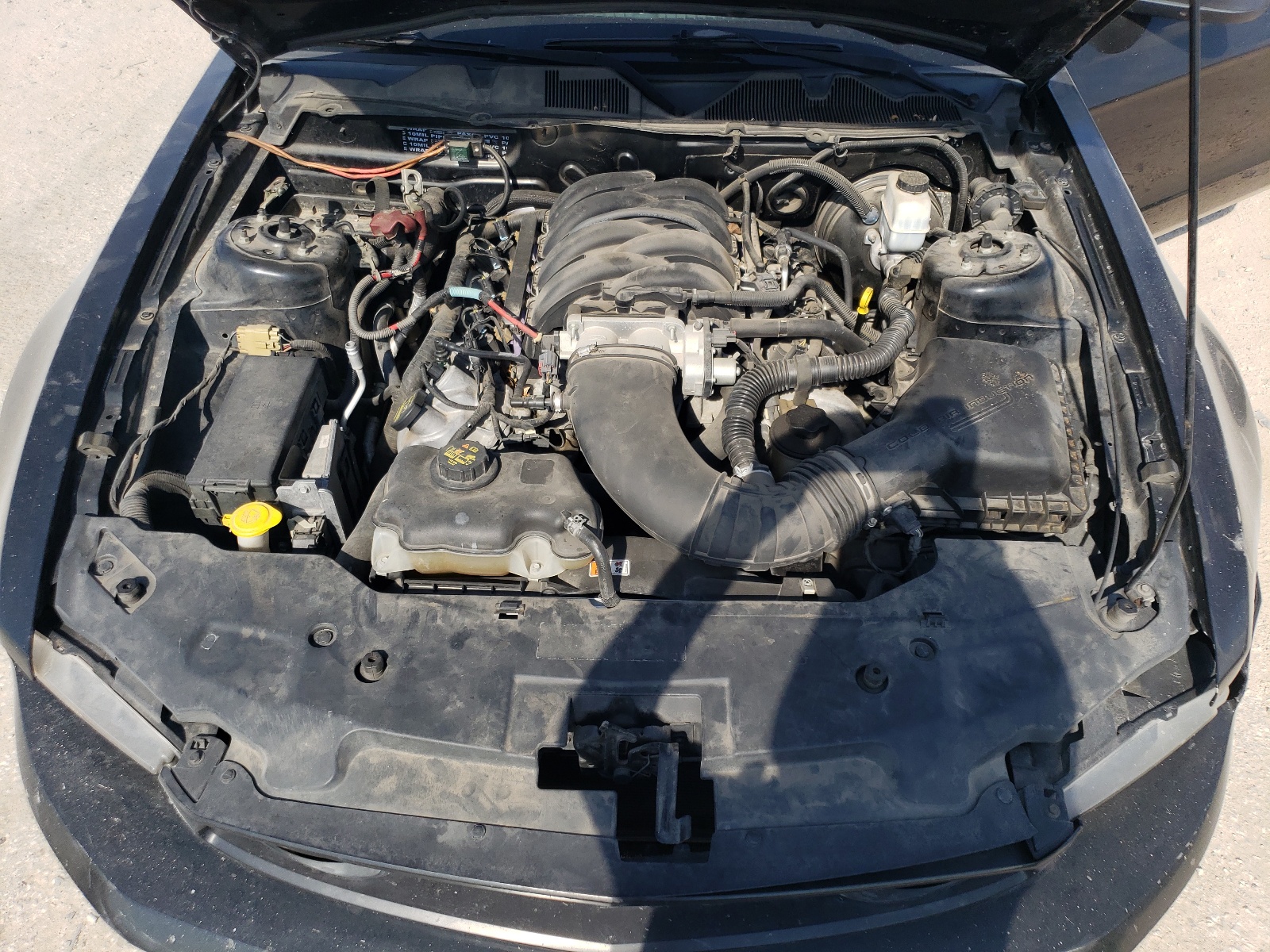 1ZVBP8CH3A5168463 2010 Ford Mustang Gt