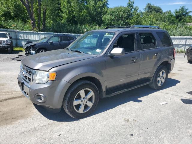 2010 Ford Escape Limited