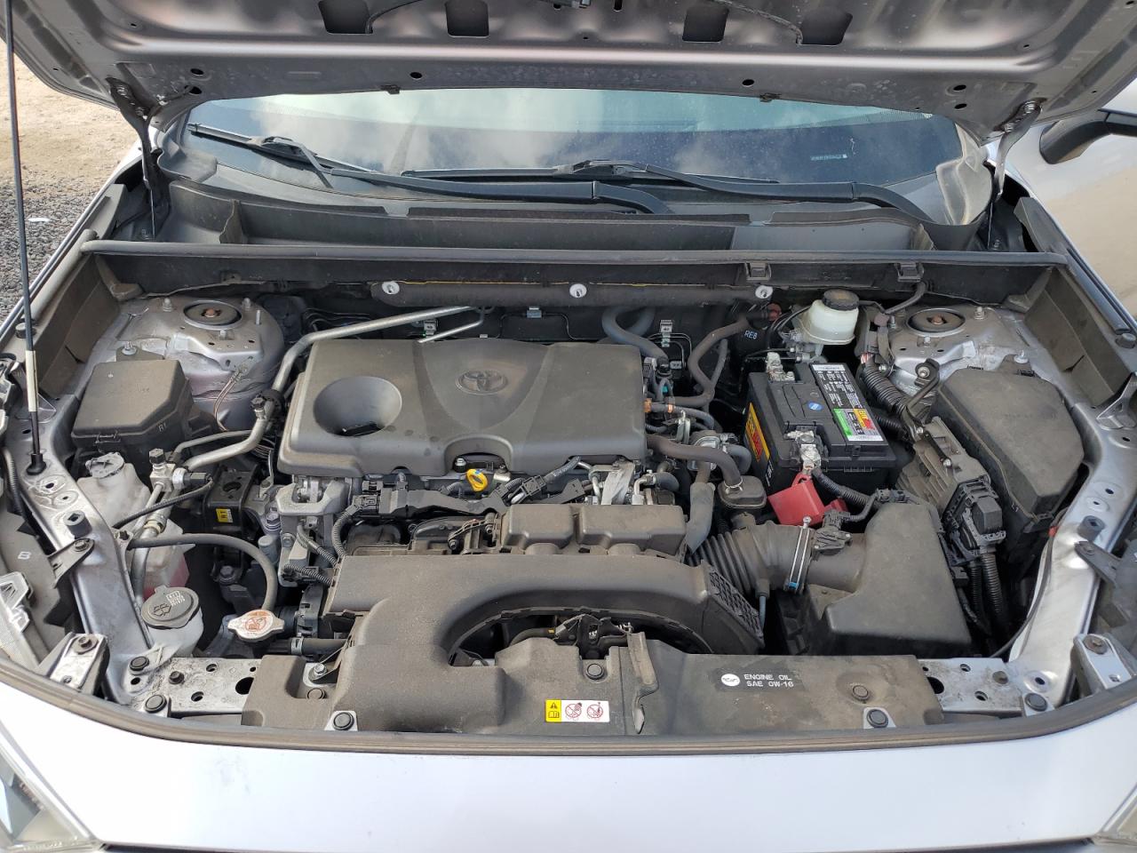 2019 Toyota Rav4 Xle VIN: JTMW1RFV5KD025373 Lot: 57729454