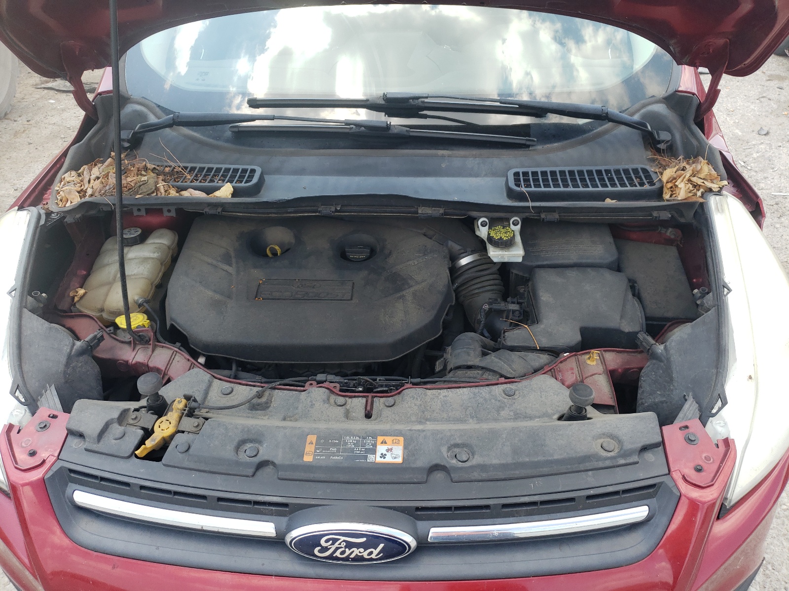 1FMCU9G97DUC01057 2013 Ford Escape Se