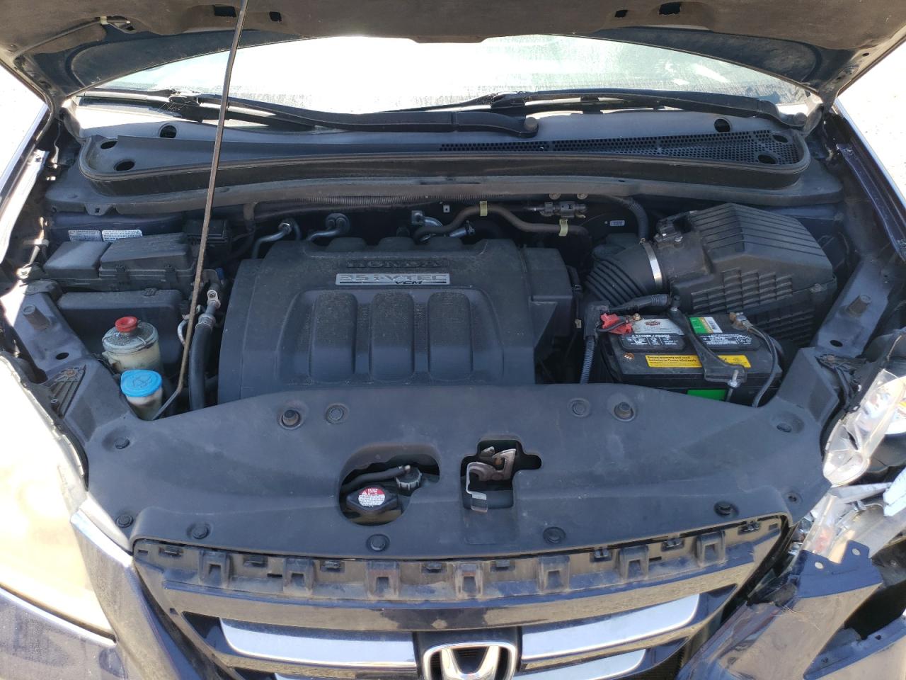 2007 Honda Odyssey Exl VIN: 5FNRL38767B009055 Lot: 59527364