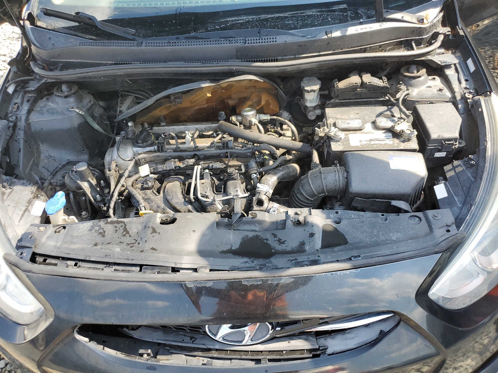 KMHCT4AE1GU086018 2016 Hyundai Accent Se