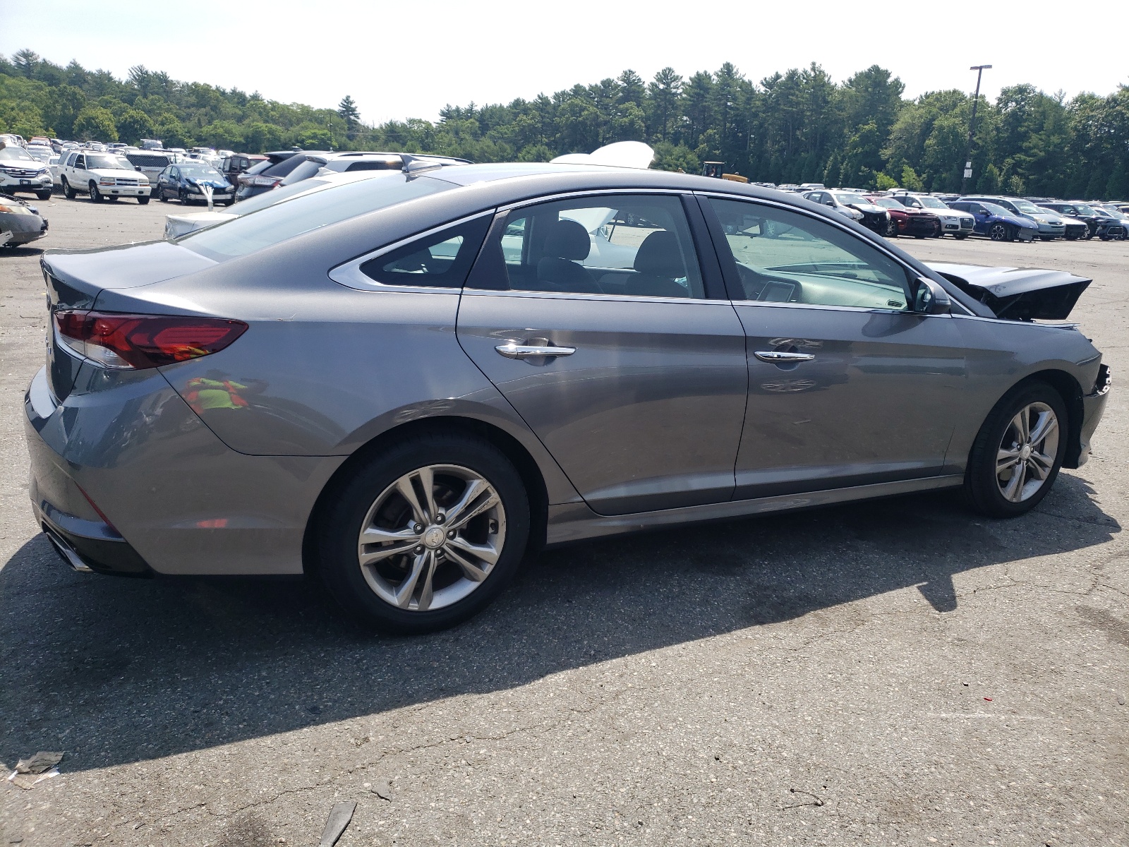 2019 Hyundai Sonata Limited vin: 5NPE34AF7KH817463