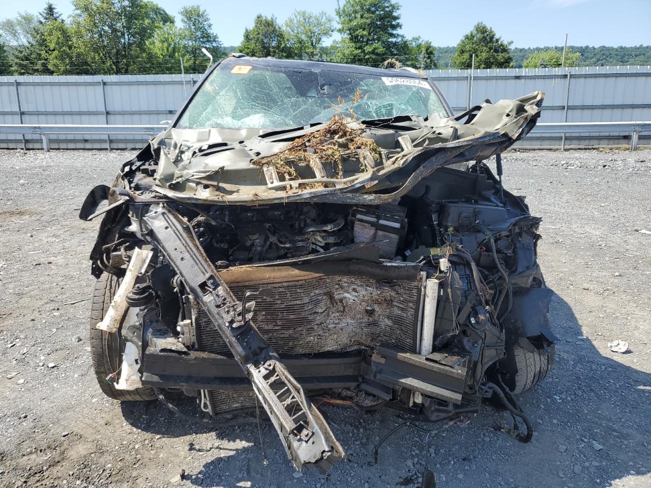 2022 Kia Telluride Ex VIN: 5XYP34HC2NG271669 Lot: 59628064