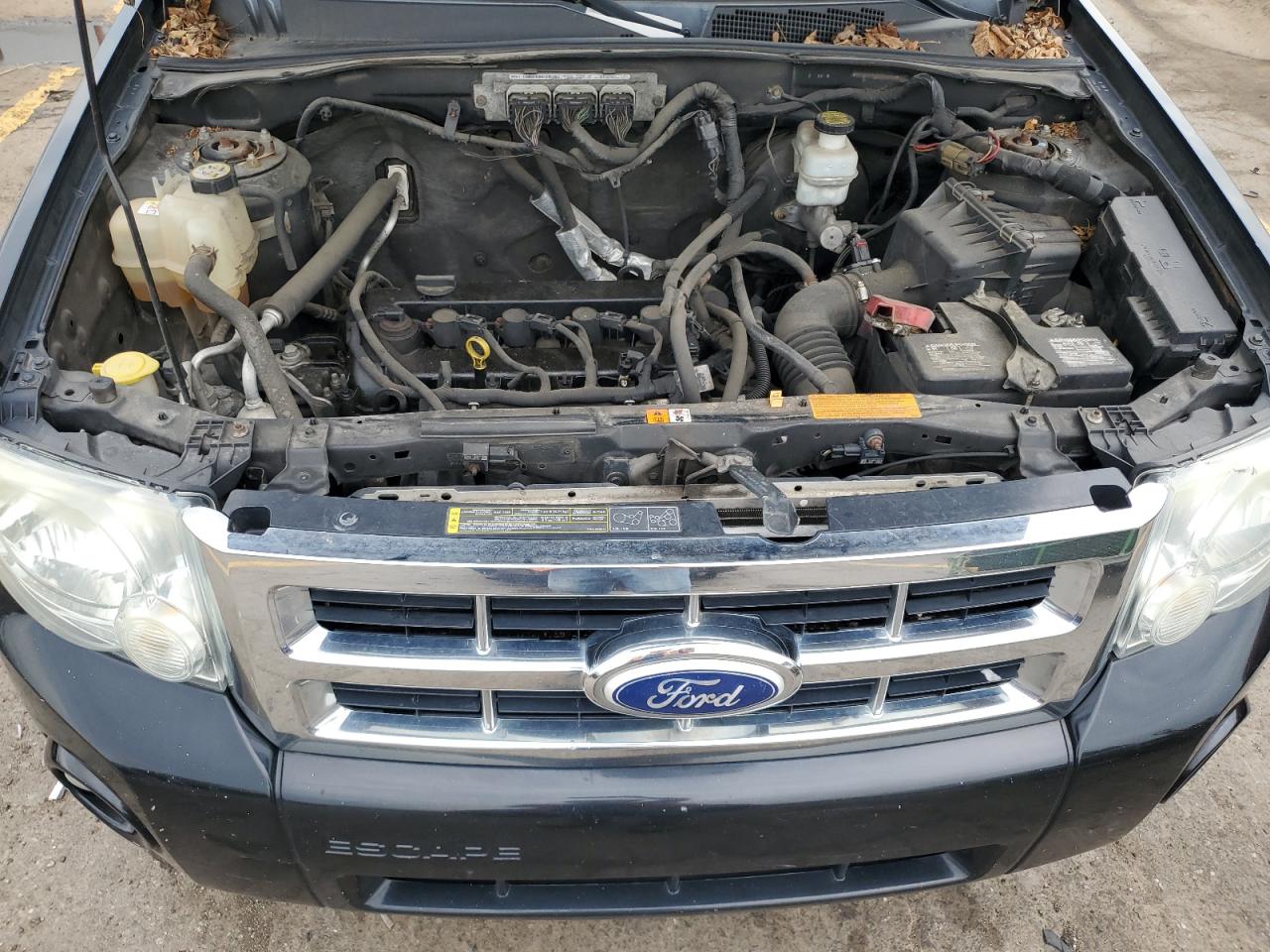 2010 Ford Escape Xlt VIN: 1FMCU0D73AKA45492 Lot: 59878104