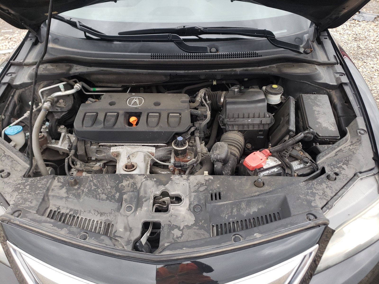 19VDE1F56DE007357 2013 Acura Ilx 20 Premium