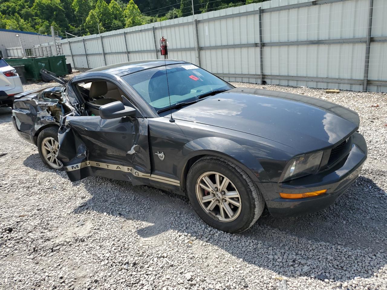 2009 Ford Mustang VIN: 1ZVHT80N695118460 Lot: 61272594