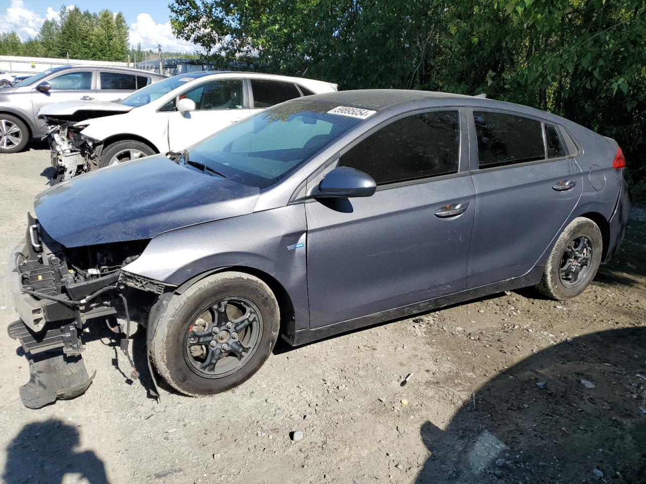 2019 Hyundai Ioniq Blue VIN: KMHC65LC9KU162697 Lot: 59895054