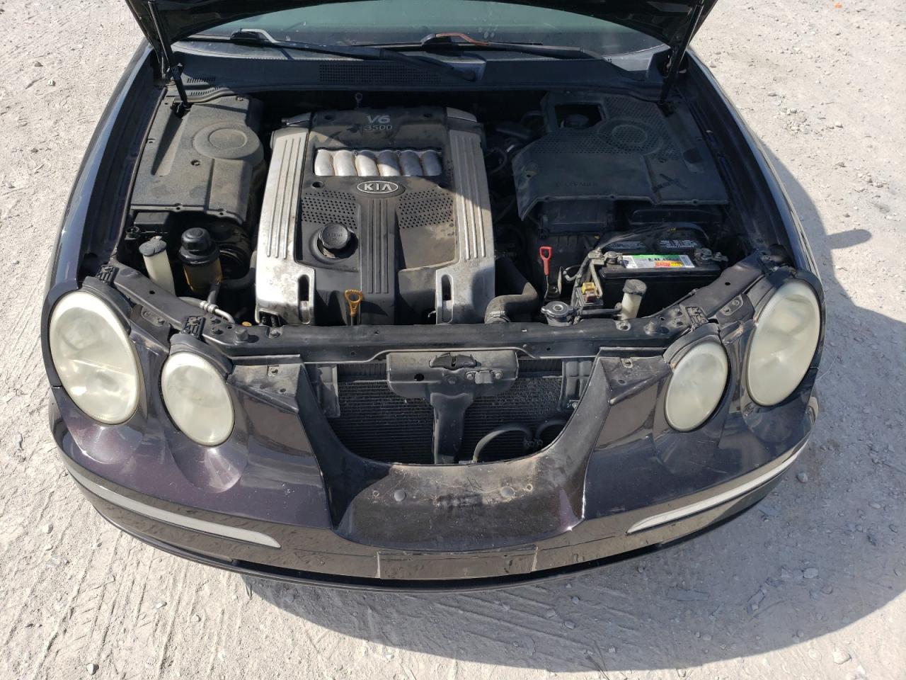 2006 Kia Amanti VIN: KNALD124365098179 Lot: 59576614