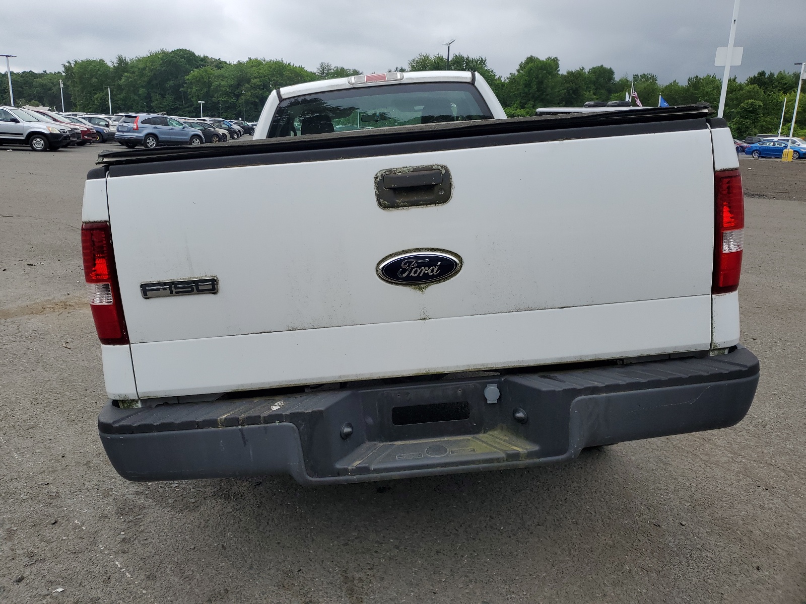 1FTRF12206NB29541 2006 Ford F150