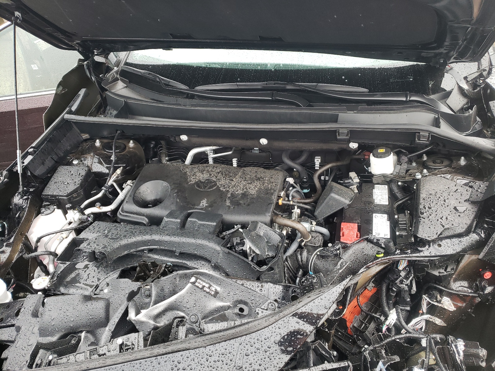 2T3A1RFV6PW402507 2023 Toyota Rav4 Xle Premium