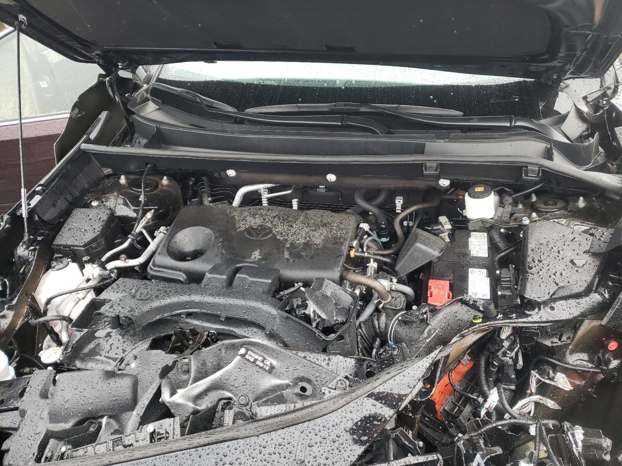 2023 Toyota Rav4 Xle Premium VIN: 2T3A1RFV6PW402507 Lot: 63108154