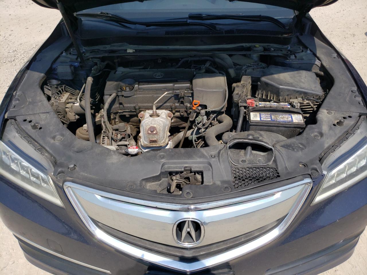 2015 Acura Tlx Tech VIN: 19UUB1F55FA007292 Lot: 59325814