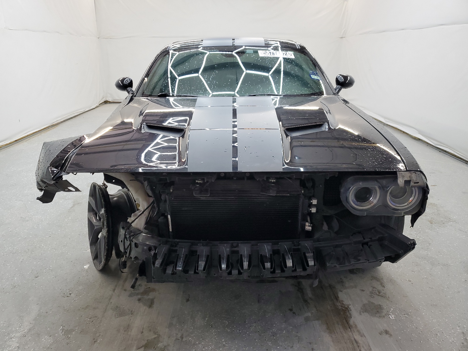 2C3CDZAG9KH557431 2019 Dodge Challenger Sxt