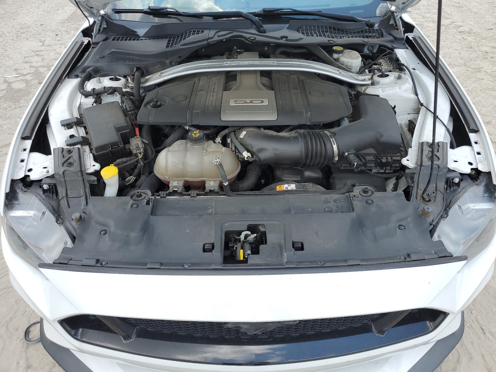 1FA6P8CF1J5121456 2018 Ford Mustang Gt