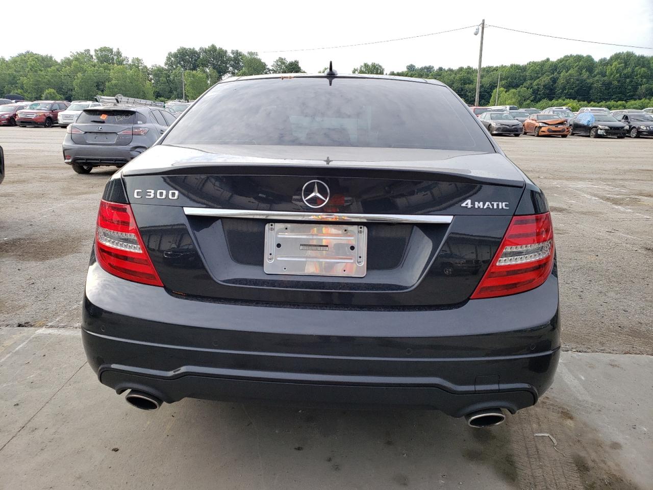 2013 Mercedes-Benz C 300 4Matic VIN: WDDGF8AB1DR301007 Lot: 59327684