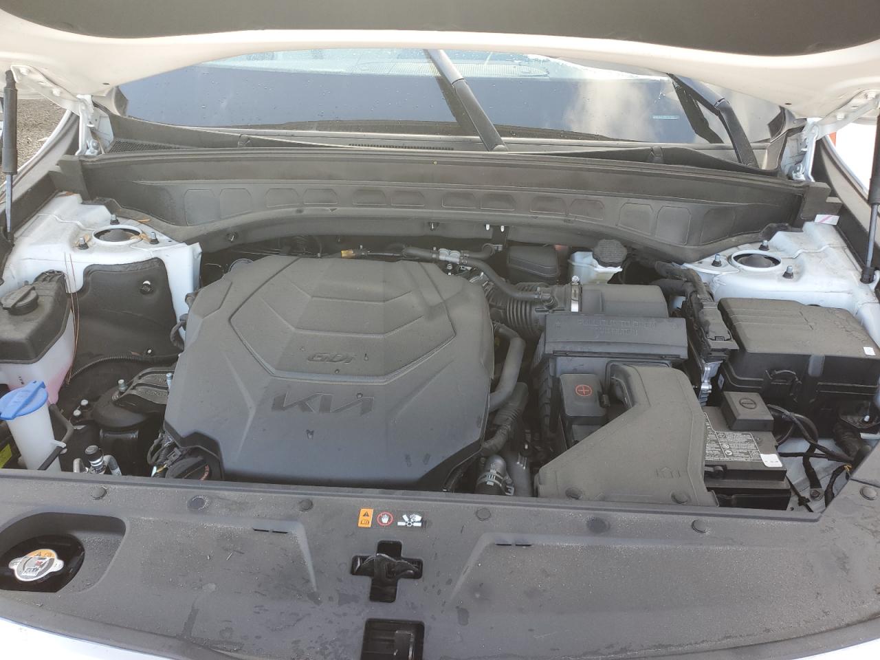 2023 Kia Telluride Ex VIN: 5XYP34GC5PG331190 Lot: 60031804