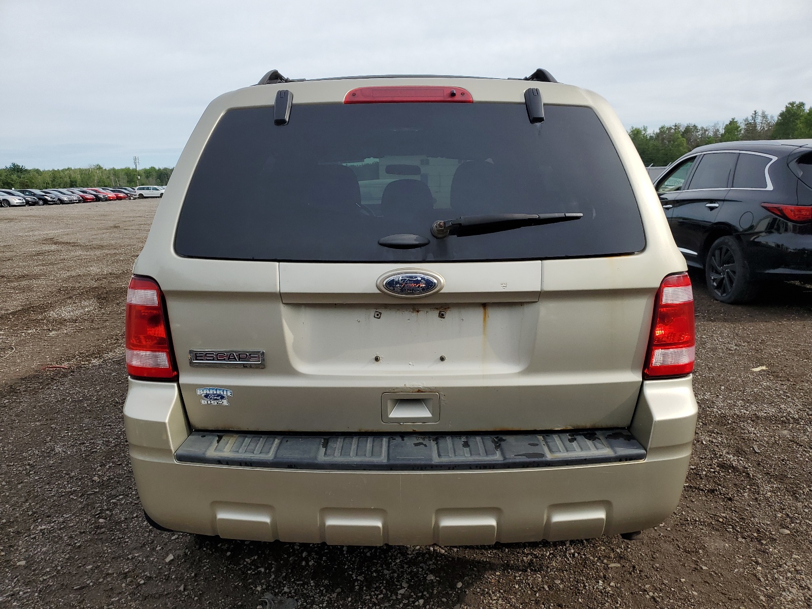 1FMCU0D79BKB17040 2011 Ford Escape Xlt