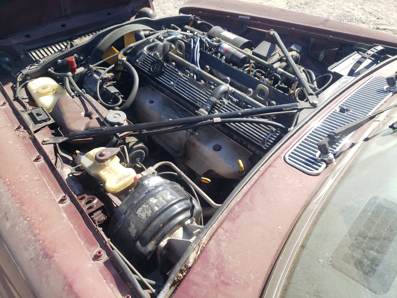 SAJAV1347HC470788 1987 Jaguar Xj6