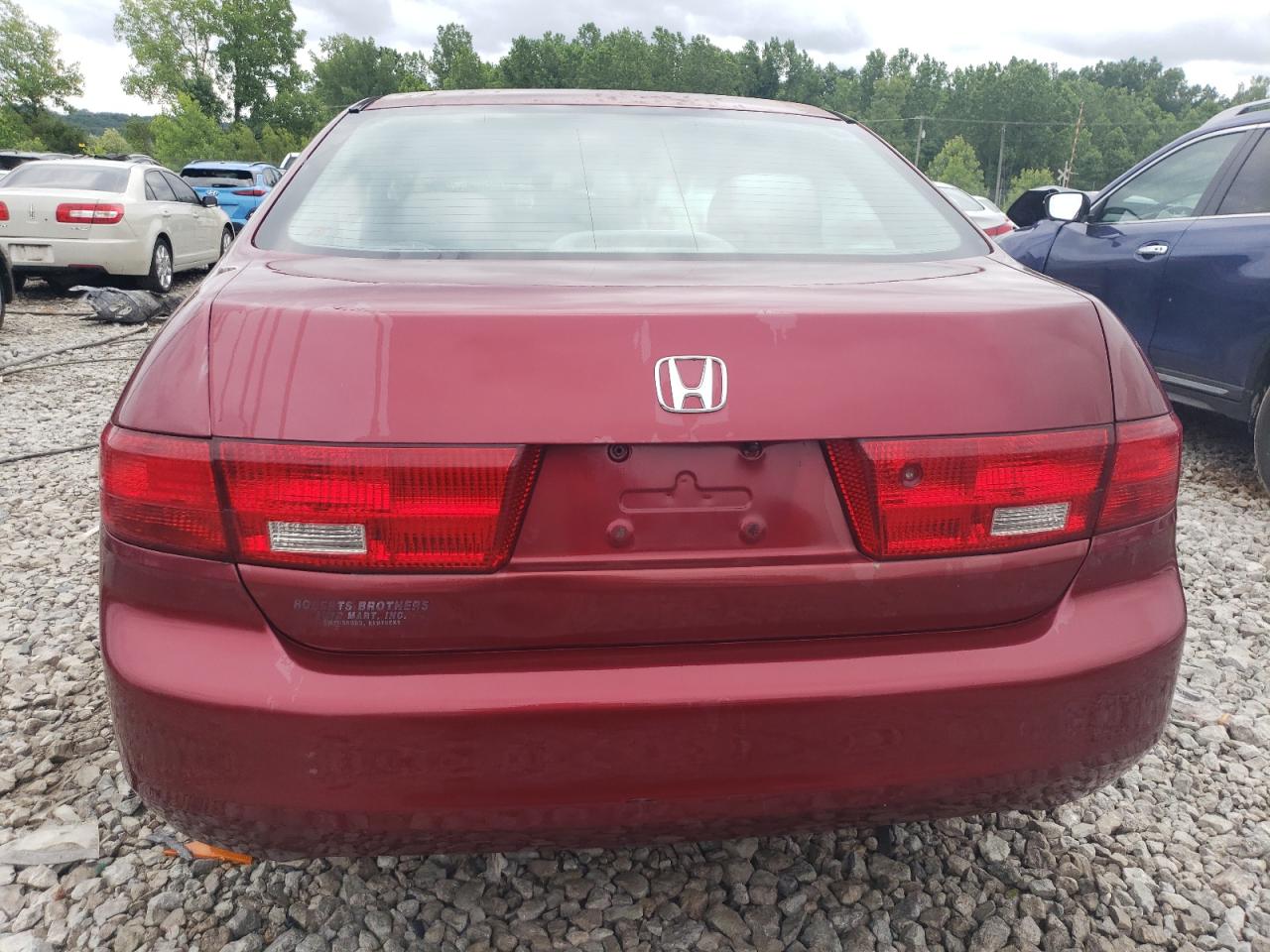 2005 Honda Accord Ex VIN: 1HGCM56795A038137 Lot: 57159034