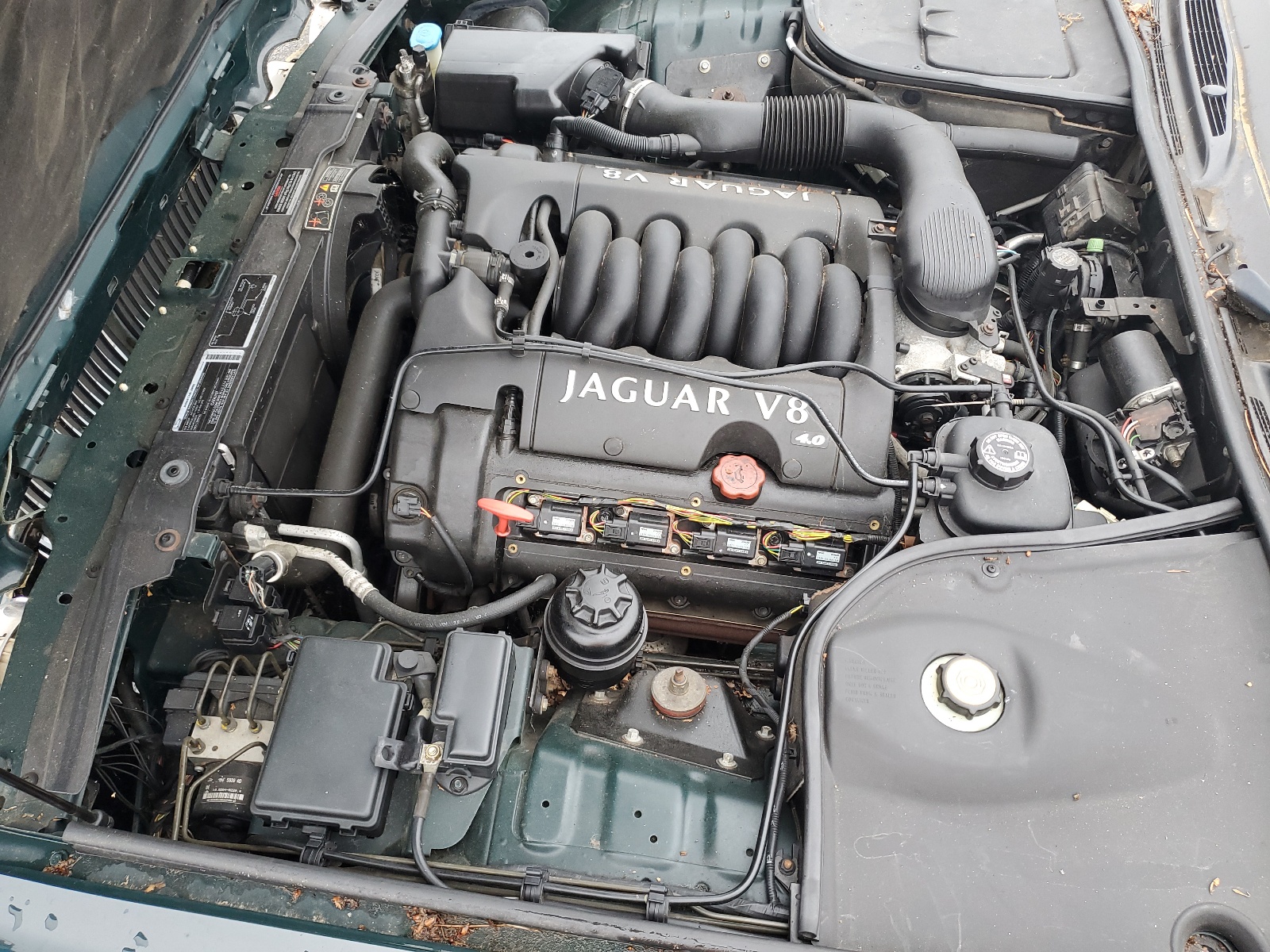 SAJDA14C03LF51531 2003 Jaguar Xj8