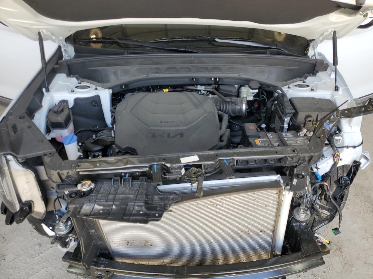 2024 Kia Telluride Ex VIN: 5XYP3DGC8RG484830 Lot: 57456294