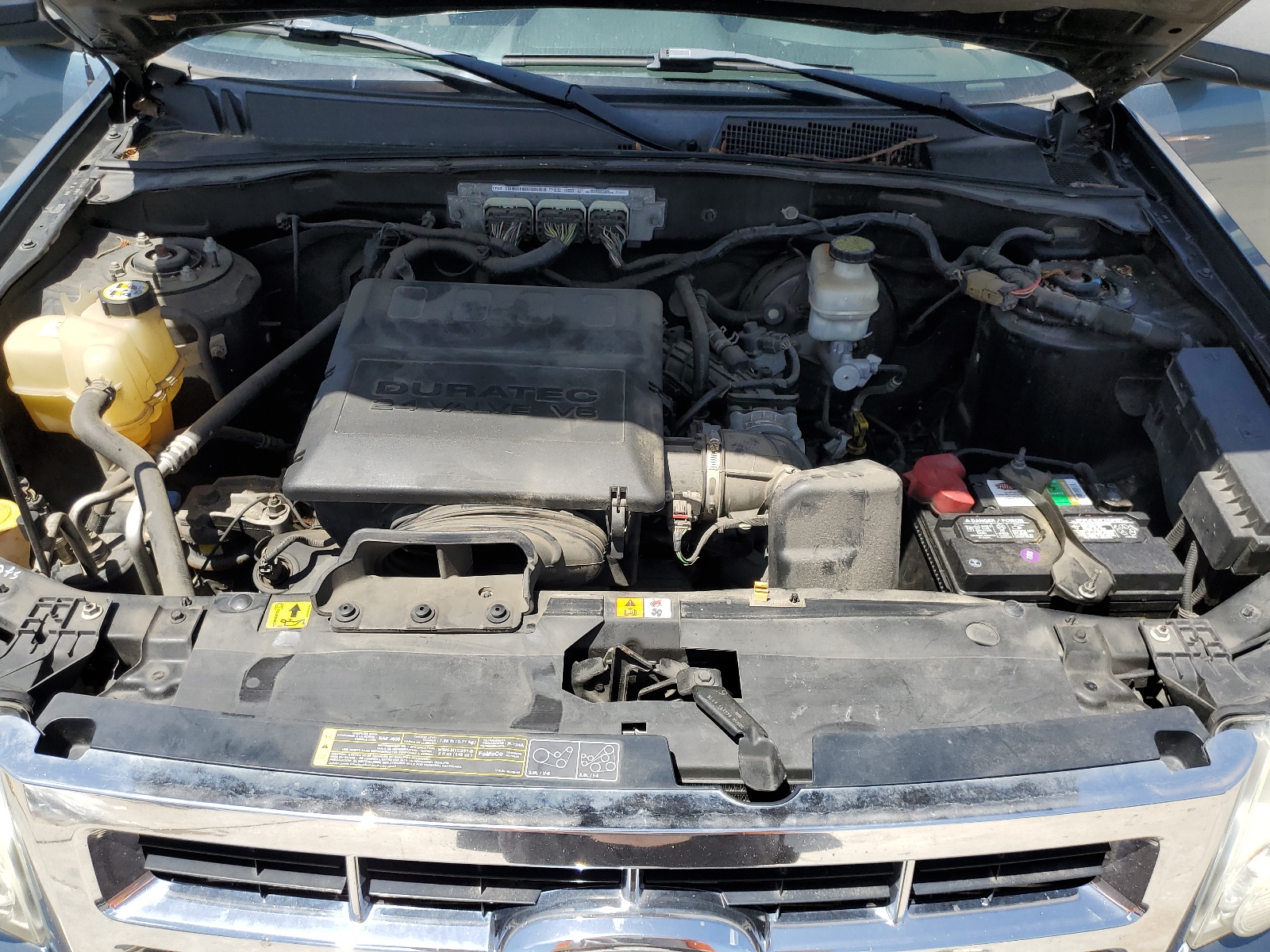 1FMCU0DG3BKA63542 2011 Ford Escape Xlt