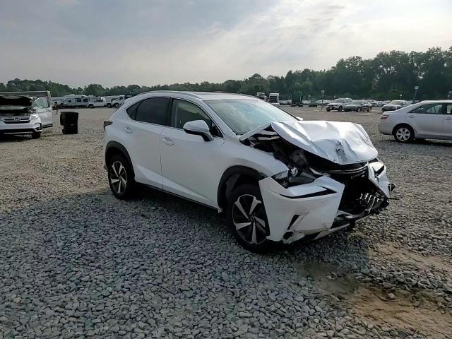 2019 Lexus Nx 300 Base VIN: JTJYARBZ2K2121696 Lot: 60440194