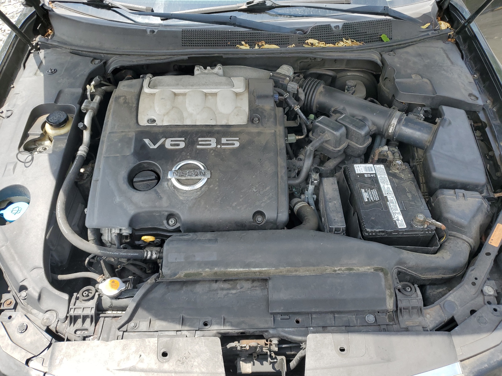 1N4BA41E37C853479 2007 Nissan Maxima Se