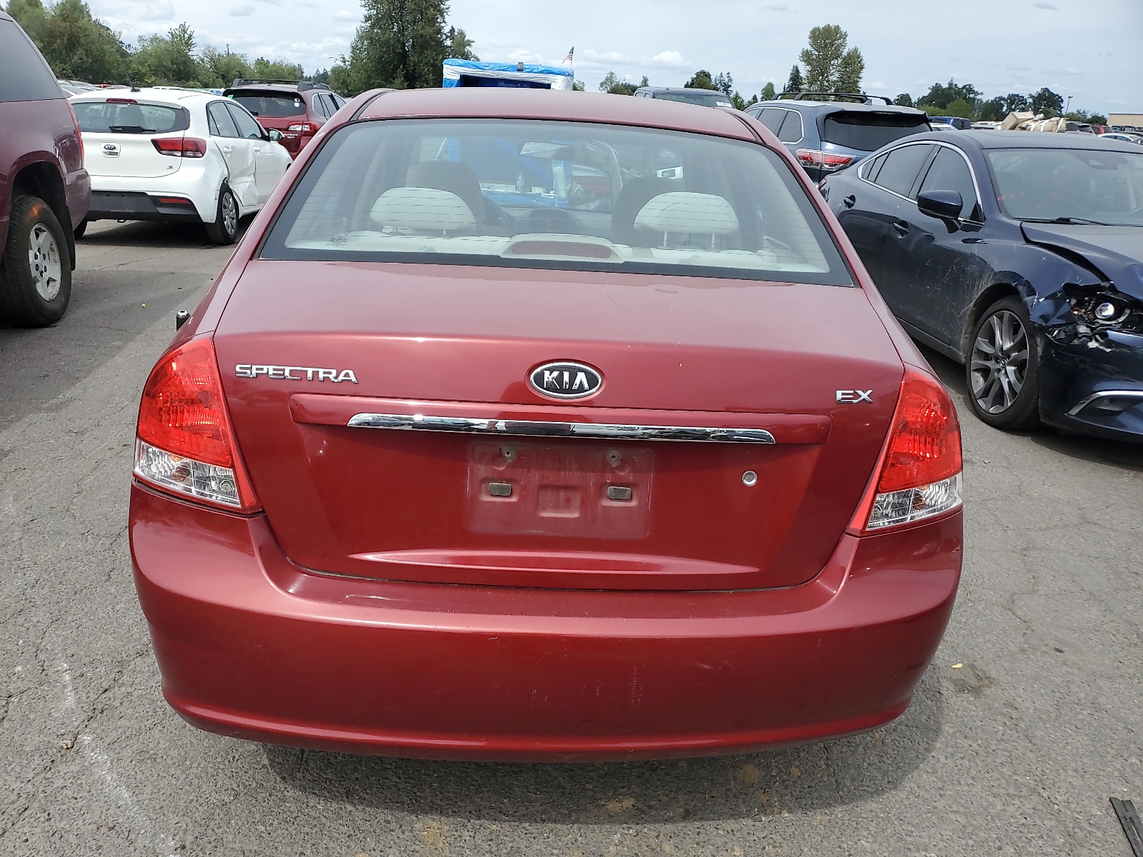 KNAFE222395667602 2009 Kia Spectra Ex